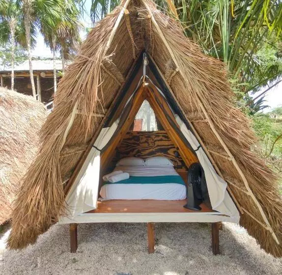 Kapselihotelli Asana Glamping