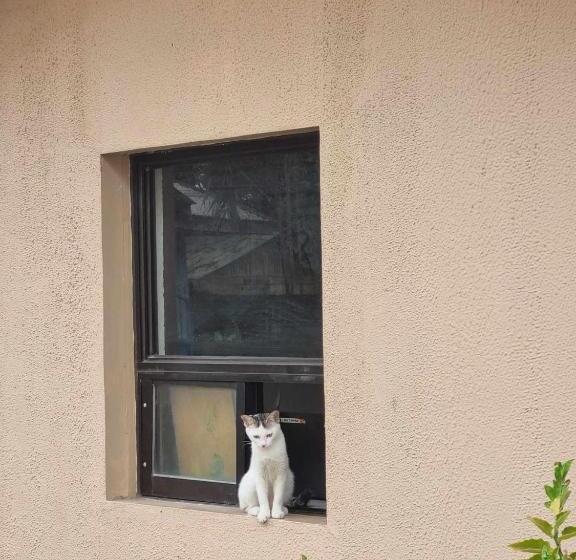 בית מלון כפרי Le Verde Lodge