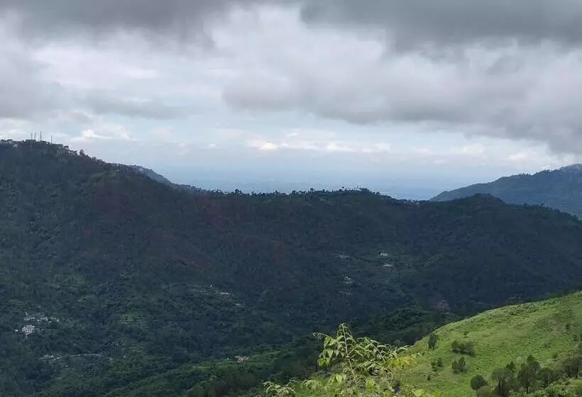 Hotelli Leela The Flavors Of Nature