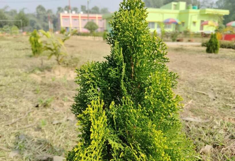 בית מלון כפרי Olivia And Resort