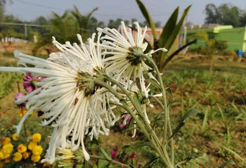 בית מלון כפרי Olivia And Resort