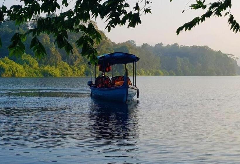 Resort Humblebee Retreat Tattekkad