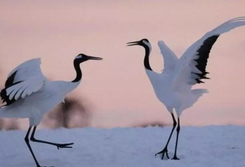 ホテル Axia Inn Kushiro   Vacation Stay 67230v