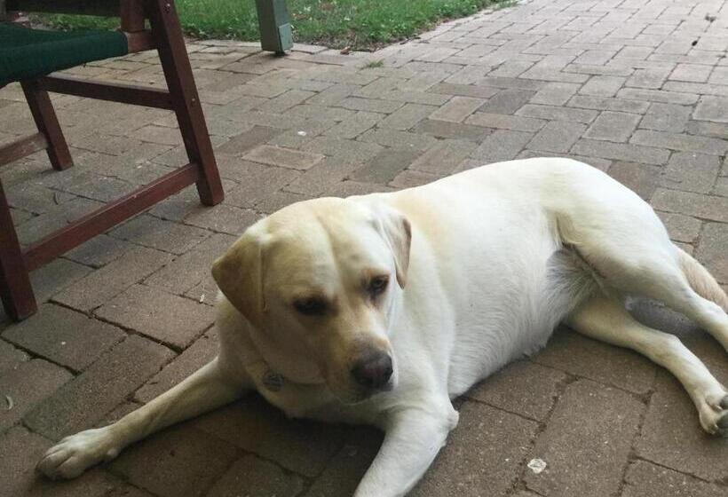 ペンション Retreat In Stirling