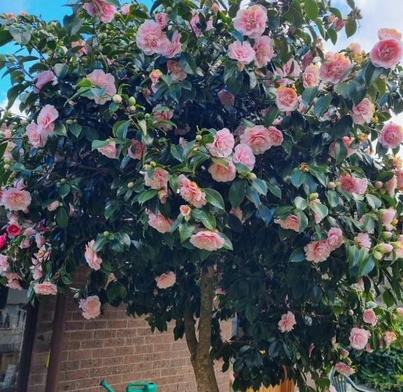 ペンション Retreat In Stirling