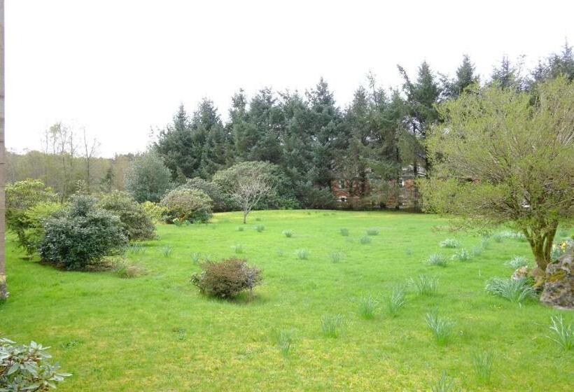 Nocleg ze śniadaniem Craig Villa Guest House