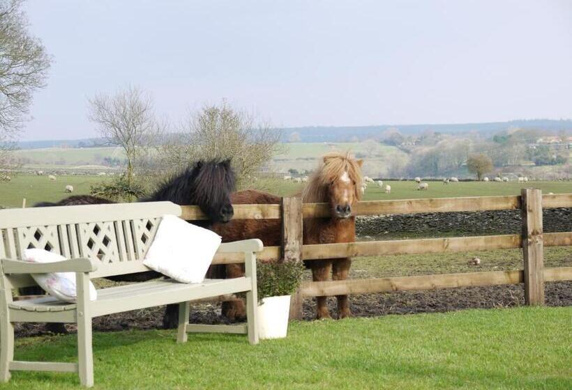 צימר Rectory Farm