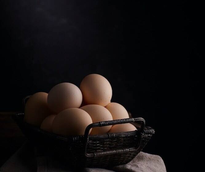 هتل Am Brinkerplatz