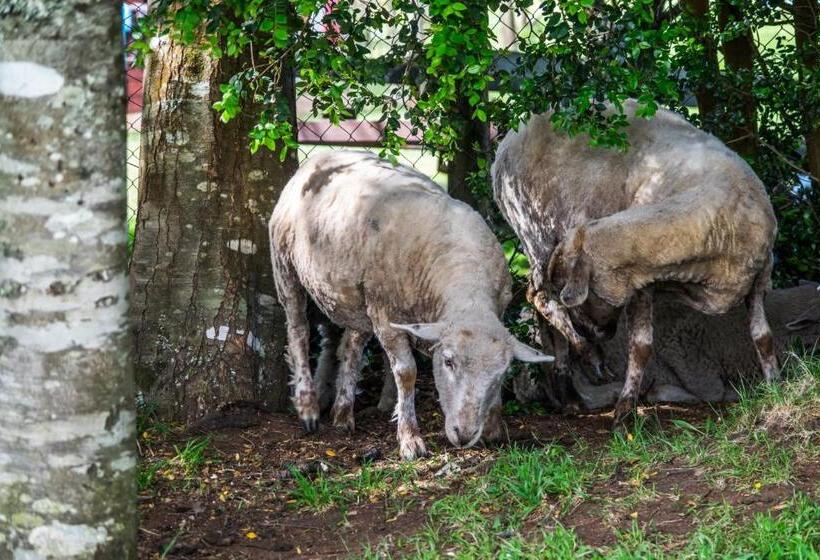 هتل Andes Lodge, Puelo Patagonia