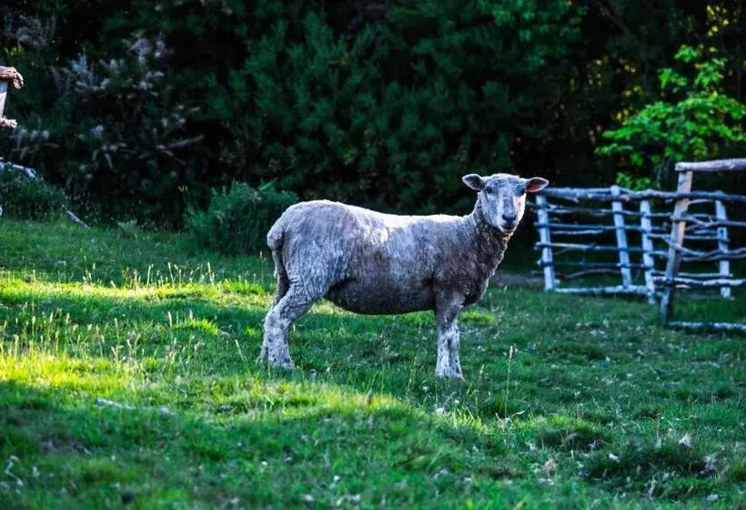 ホテル Andes Lodge, Puelo Patagonia