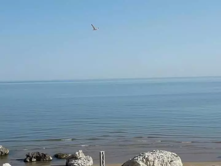 Hotelli La Scogliera