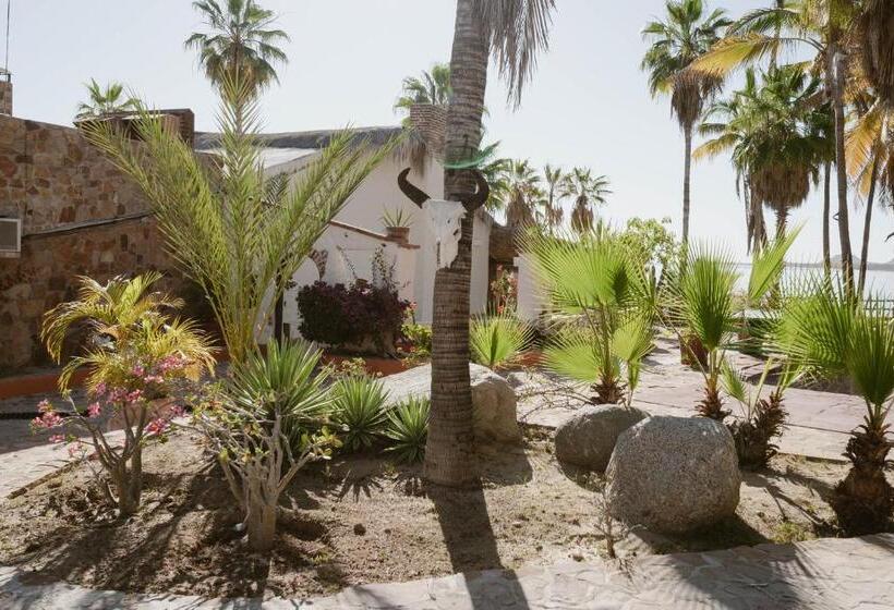 هتل Rancho Buenavista