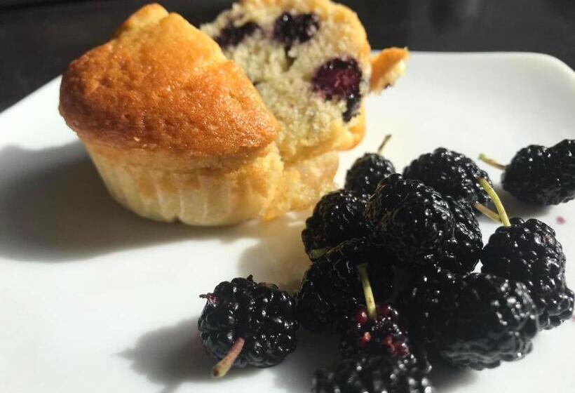 בית מלון כפרי Tenuta Le Mandorlaie, Agriturismo In Scansano