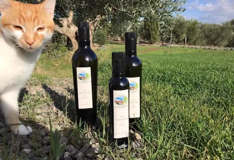 ホテル Tenuta Le Mandorlaie, Agriturismo In Scansano