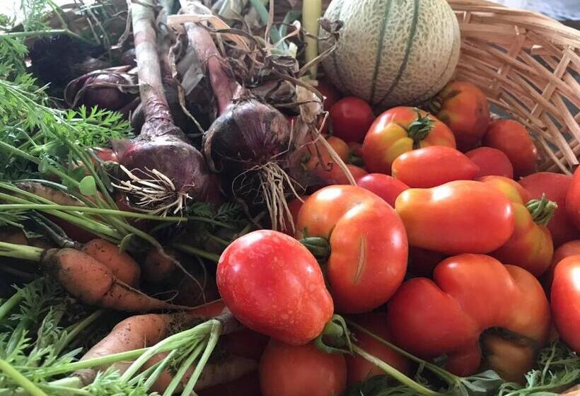 בית מלון כפרי Tenuta Le Mandorlaie, Agriturismo In Scansano