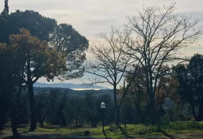 ホテル Tenuta Le Mandorlaie, Agriturismo In Scansano