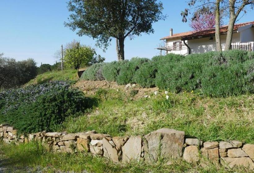 בית מלון כפרי Tenuta Le Mandorlaie, Agriturismo In Scansano