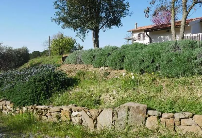 ホテル Tenuta Le Mandorlaie, Agriturismo In Scansano