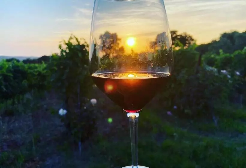 ホテル Tenuta Le Mandorlaie, Agriturismo In Scansano