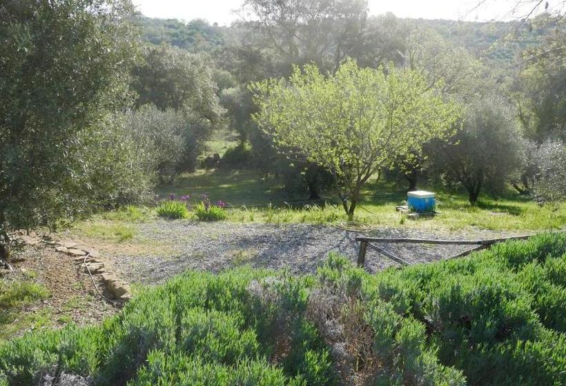 בית מלון כפרי Tenuta Le Mandorlaie, Agriturismo In Scansano