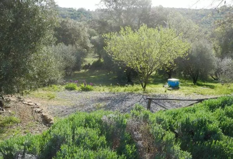 ホテル Tenuta Le Mandorlaie, Agriturismo In Scansano
