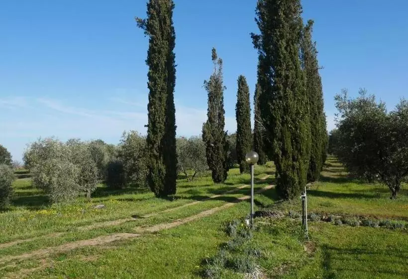 ホテル Tenuta Le Mandorlaie, Agriturismo In Scansano