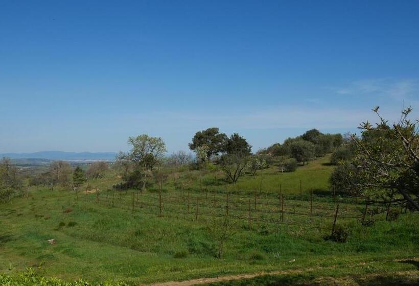 בית מלון כפרי Tenuta Le Mandorlaie, Agriturismo In Scansano