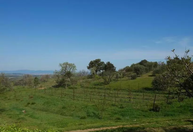 ホテル Tenuta Le Mandorlaie, Agriturismo In Scansano