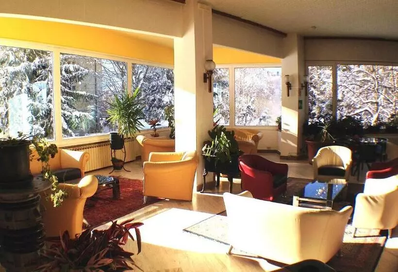 Park Hotel Bozzi