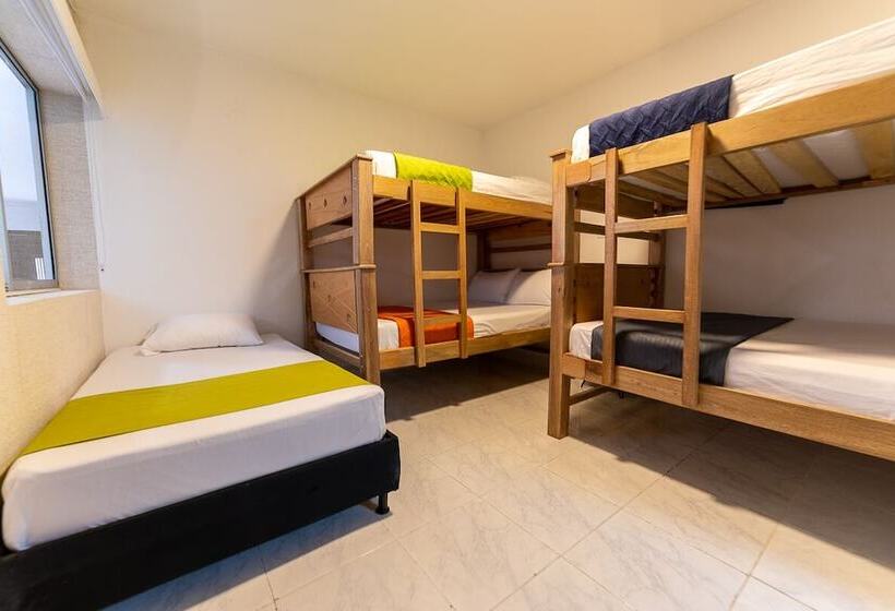 膳宿费 Casa Vincenzo