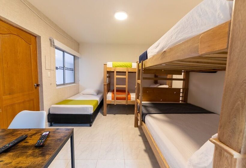 膳宿费 Casa Vincenzo