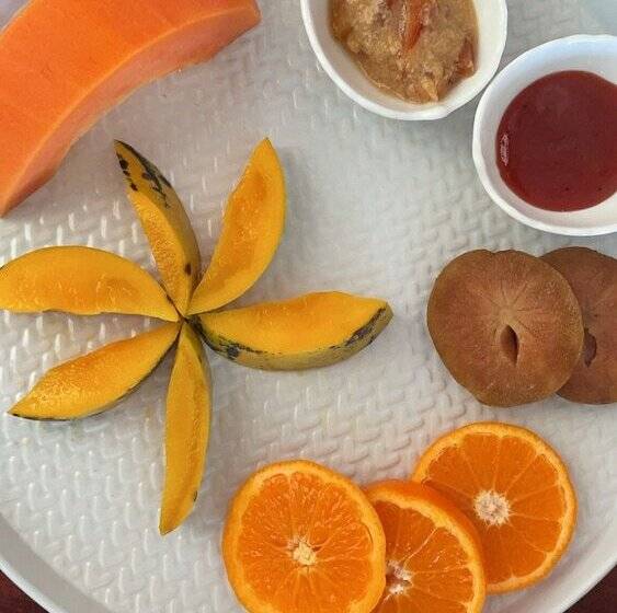 پانسیون El Castillo Tropical