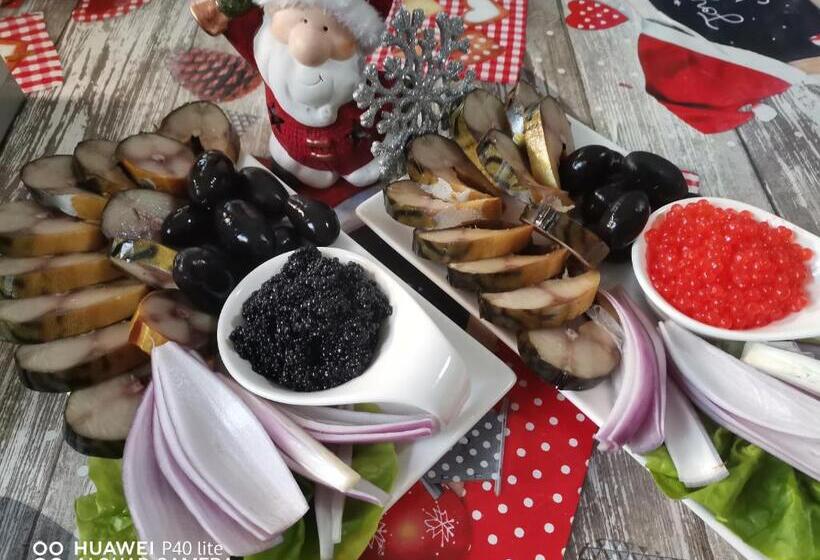 پانسیون Flori De Bucovina