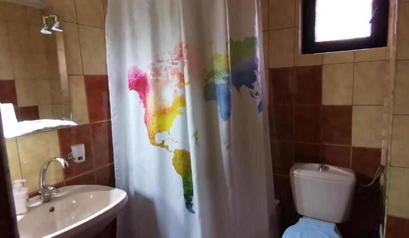 پانسیون Flori De Bucovina