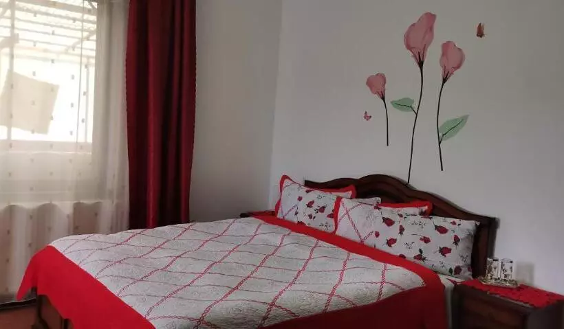ペンション Flori De Bucovina