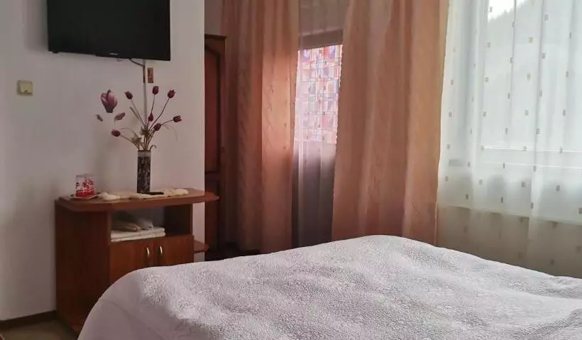 ペンション Flori De Bucovina