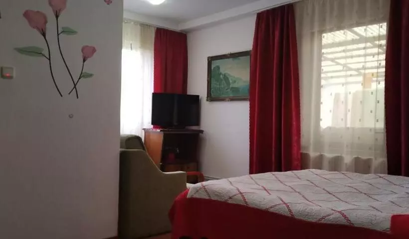 ペンション Flori De Bucovina