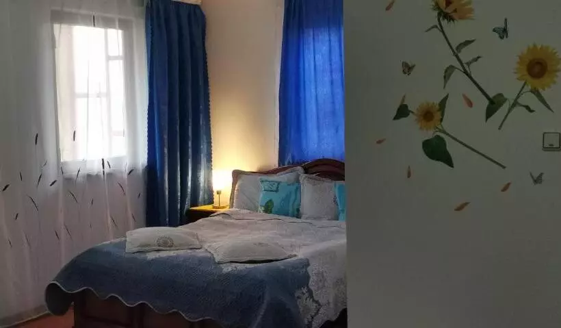 ペンション Flori De Bucovina