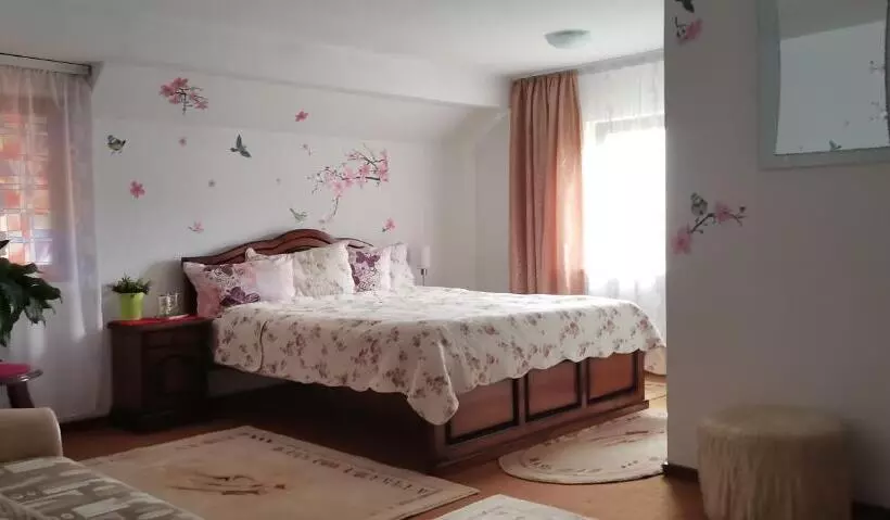 ペンション Flori De Bucovina