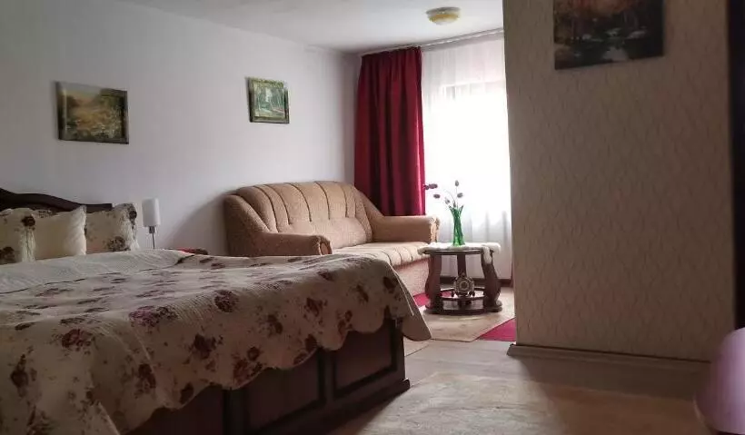 ペンション Flori De Bucovina