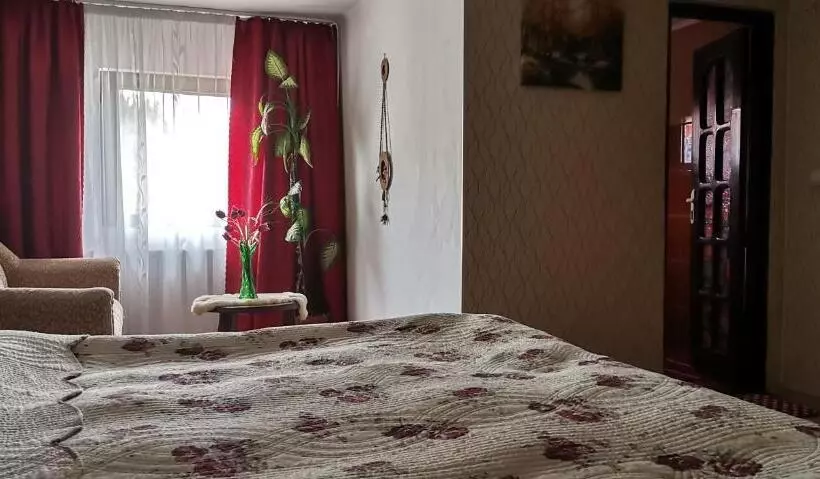 ペンション Flori De Bucovina