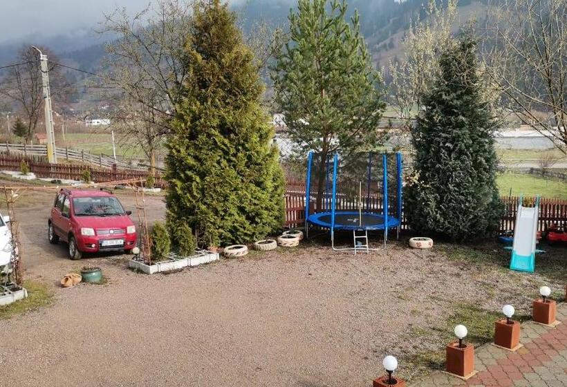 پانسیون Flori De Bucovina