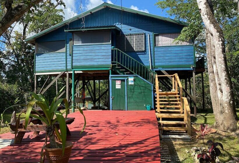 ペンション Howler House