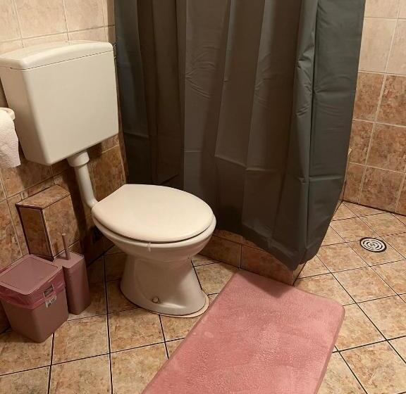 پانسیون Ski Center House Mavrovo