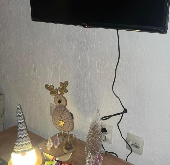 پانسیون Ski Center House Mavrovo