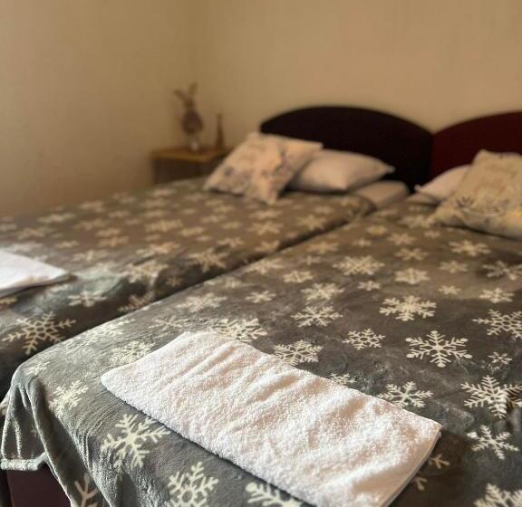 پانسیون Ski Center House Mavrovo