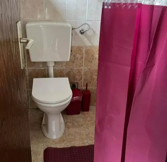 پانسیون Ski Center House Mavrovo