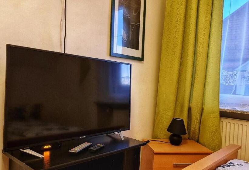 Pension Transilvania