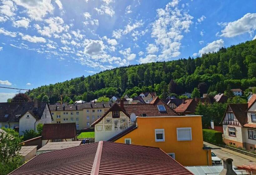 Pension Transilvania