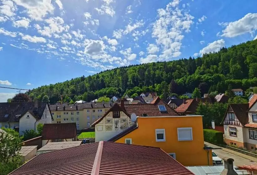 Pension Transilvania